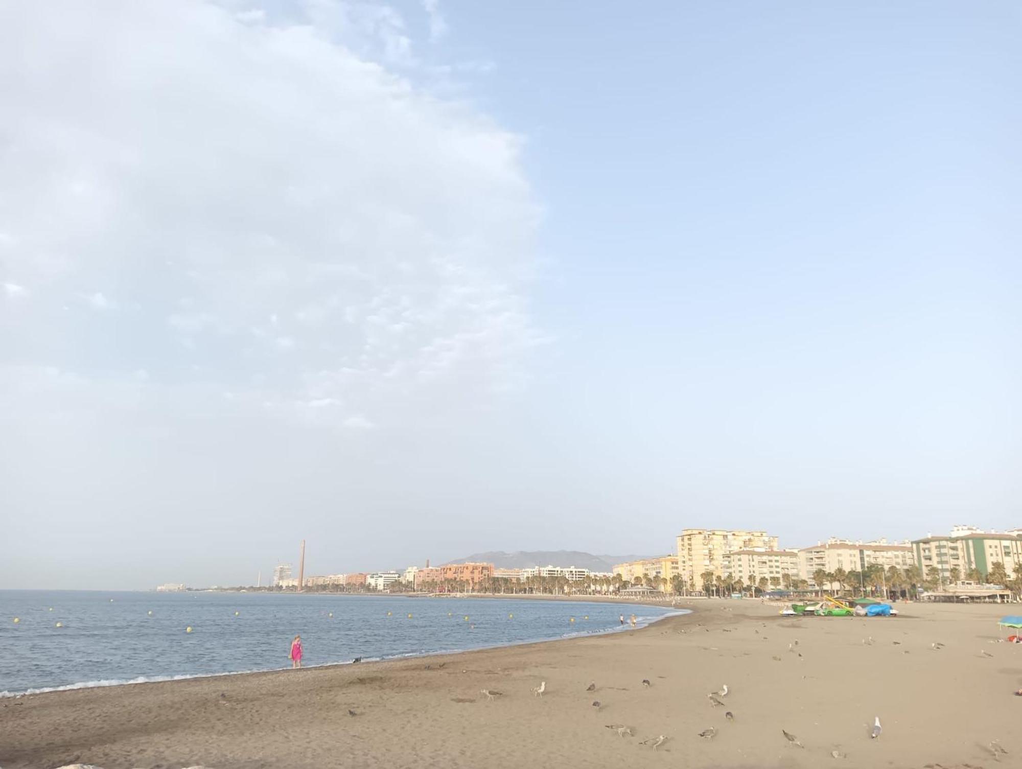Holidays2Malaga Montesa 700M From The Beach Rooftop Terrace Extérieur photo
